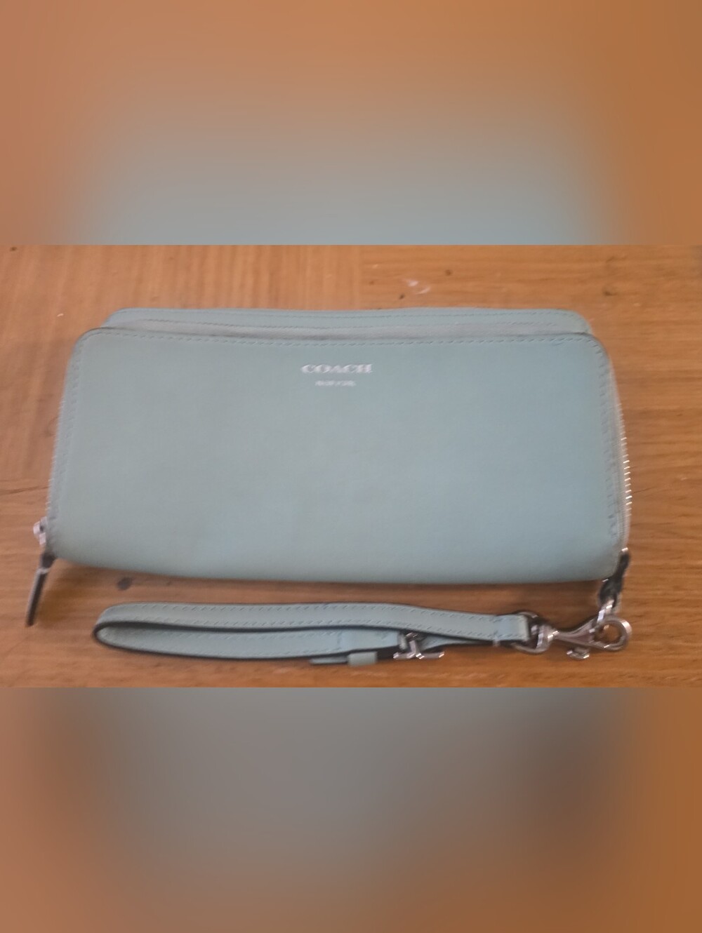 Coach Zip-Around Wristlet Wallet in Mint Blue